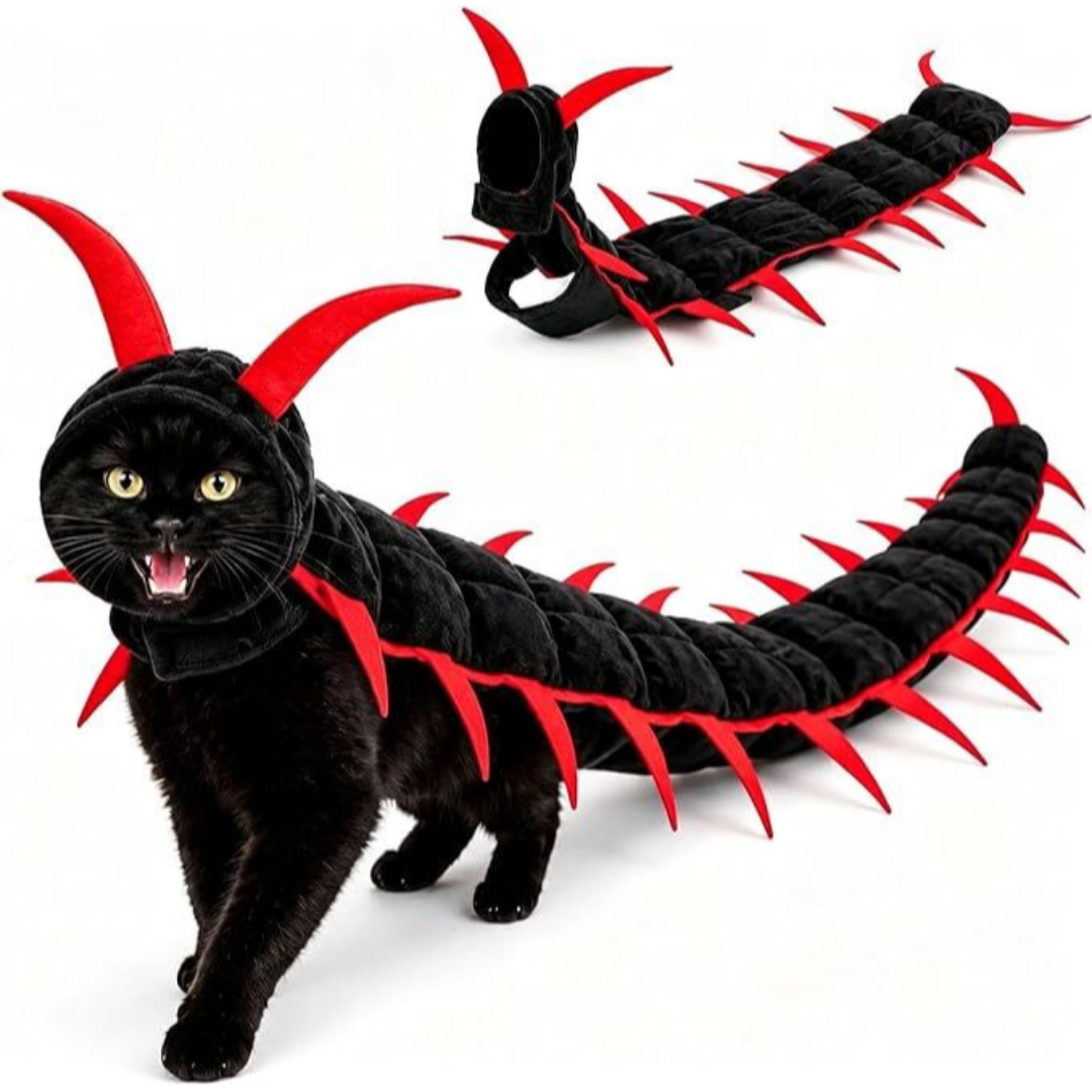 El disfraz que convierte a tu gato en la estrella de Halloween.
